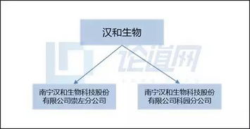 漢和生物 以生物技術(shù)創(chuàng)新驅(qū)動水溶肥料市場新藍(lán)海
